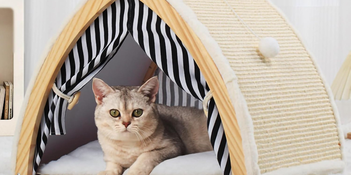Cat Scratcher House: The Ultimate Guide for Cat Owners