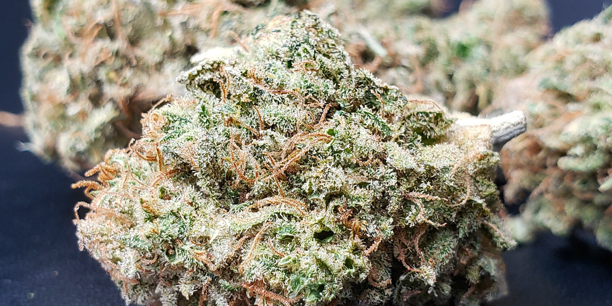 Strain Recommendations in Niagara Falls, NY: A Comprehensive Guide