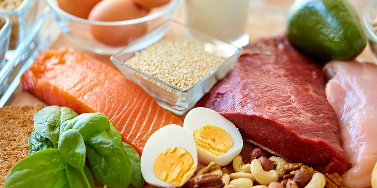 How Protein Plays a Key Role in Your Fitness Goals