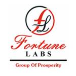 Fortune Labs