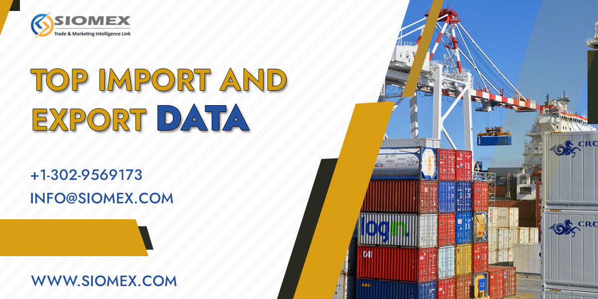 How Customs Data Helps Importers and Exporters