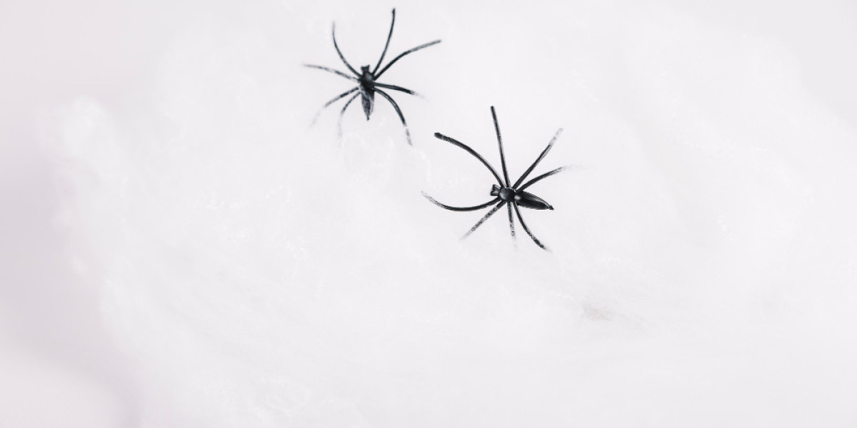 Snow Bugs Explained: The Tiny Black Specks Moving on Snow