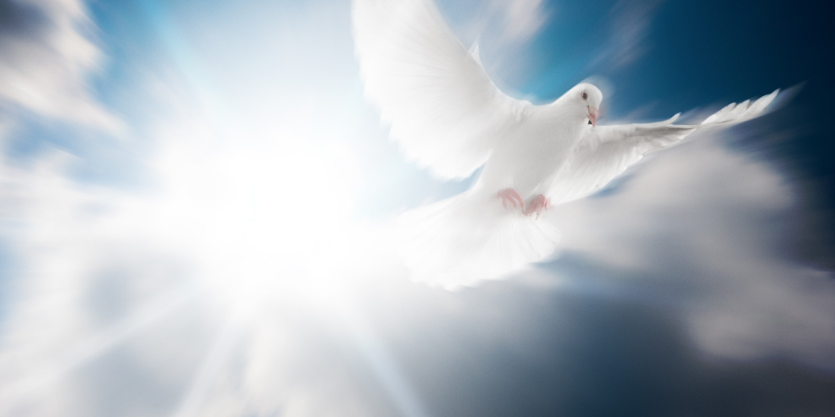 No Credit Check Loans Online Instant Approval: An In-Depth Evaluation