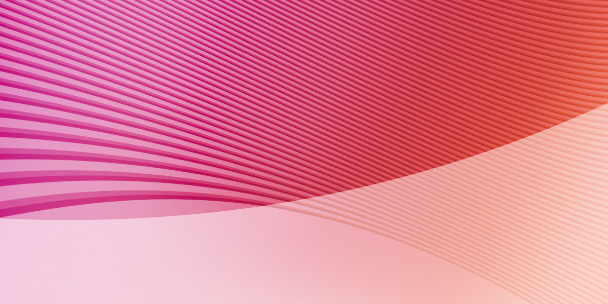 Exploring the Dynamics of Sugar Daddy Websites in Belfast