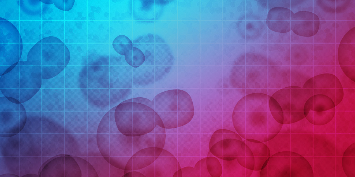 The Evolution and Current Landscape Of Sugar Daddy Sites