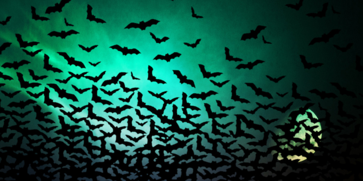 Understanding Modafinil: A Information to Buying In London