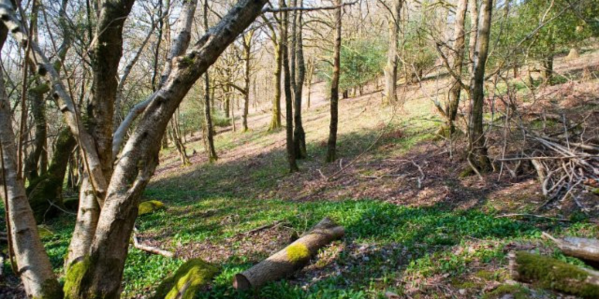 Ripper Casino No Deposit Bonus Codes 10 Free Chips!