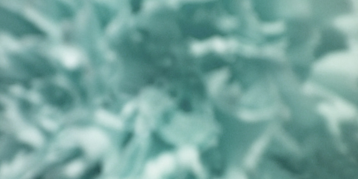 Joe Fortune Casino Review Expert & Player Ratings 2025