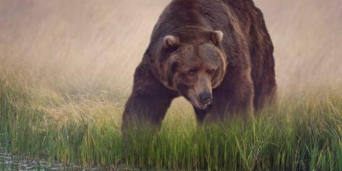 The Total Cost of Renting A Home