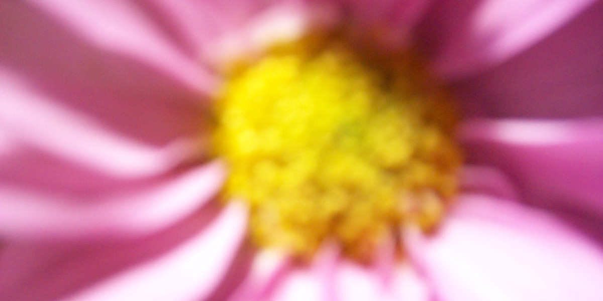 10 Best USA Real Money Casino Sites for Online Gambling 2025