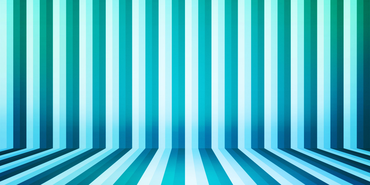 Exploring the Viability of Online Personal Loans With No Credit Check