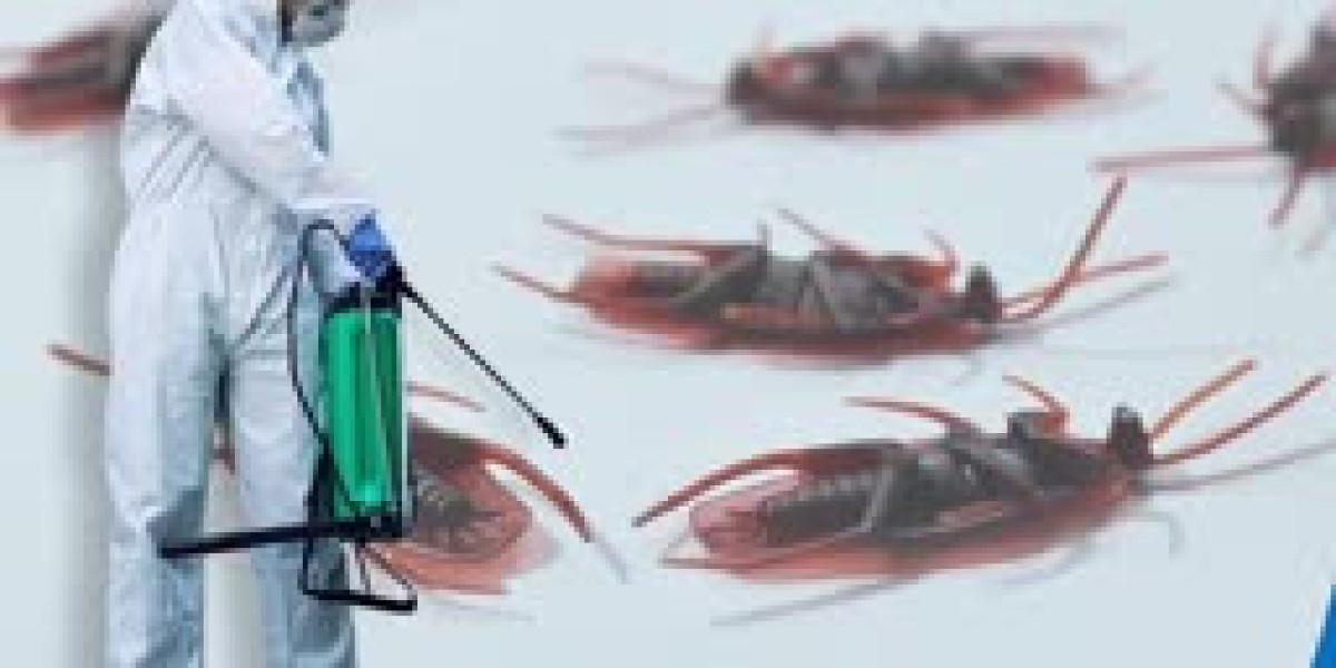 Cockroach Pest Control — Keeping Your Home and Business Hygienic and Safe