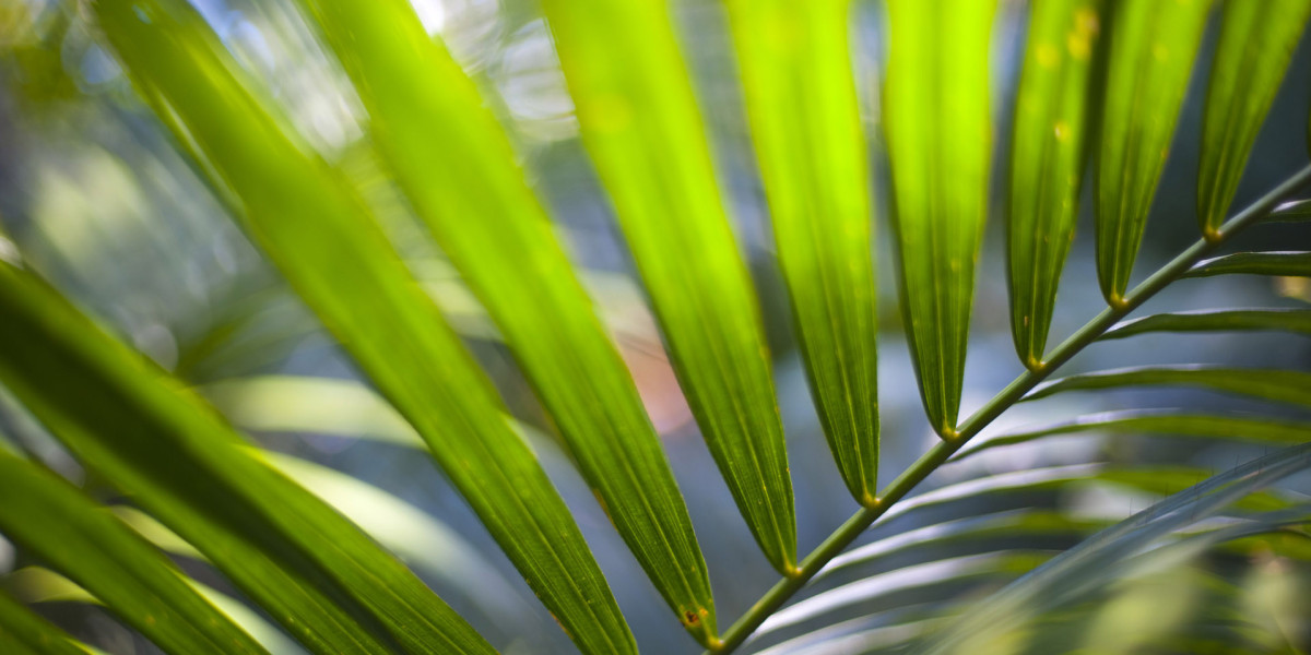 Hotels in Helsinki from $35 Find Cheap Hotels with momondo