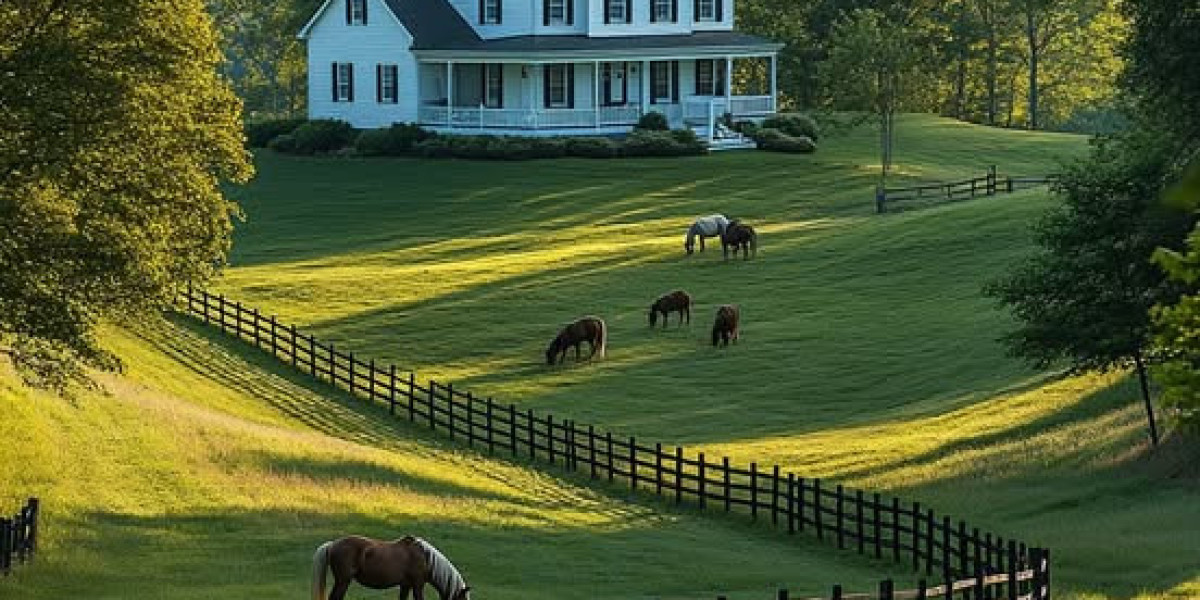Taco Stand-- The Sounds of Silence