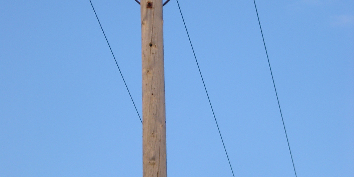 Meet the People Behind the Play