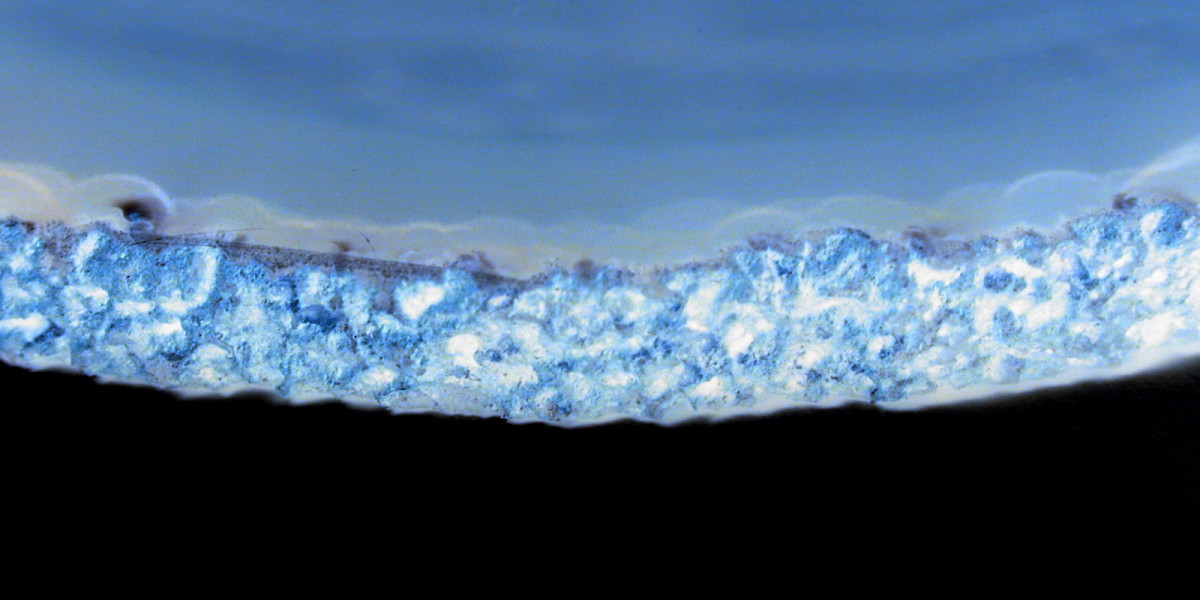 Mindil Beach Casino Resort Darwin Hotel, Casino & Infinity Pool