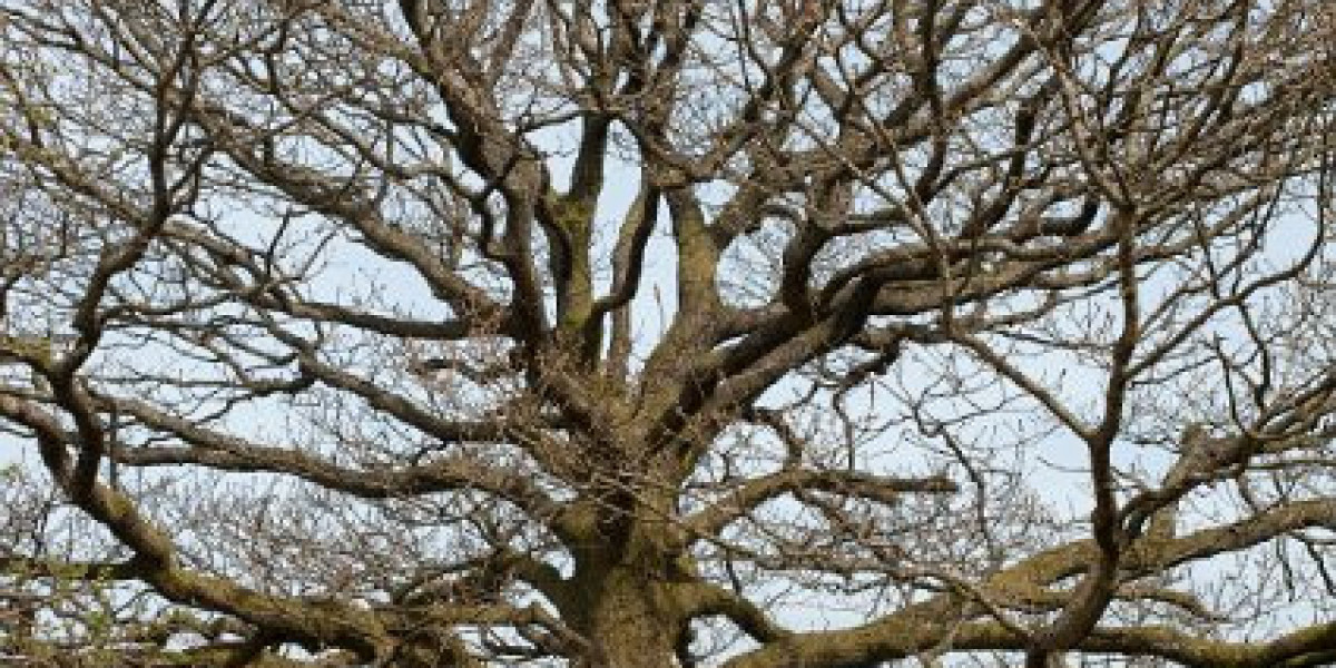 LevelUp No Deposit Bonus Codes & Review