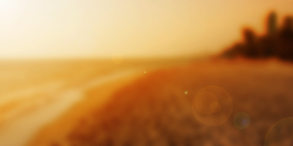 Observational Insights into Private Jet Charter Companies: A Have a Look at Traits, Operations, And Clientele