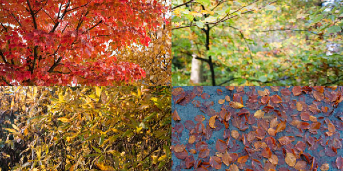 Neospin Casino Australia: Login, Registration, KYC & Welcome Bonus Guide