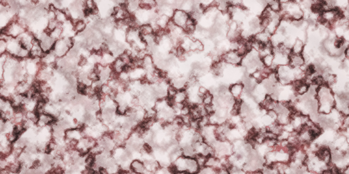 Exploring Sugar Daddy Sites in Hillsborough County: Traits, Impacts, And Social Dynamics