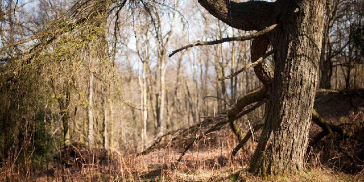 Darwins Mindil Beach is a gamble