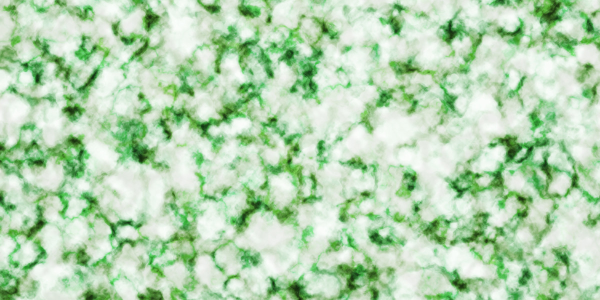 Instant No Credit Check Cash Loans: A Better Look on The Rising Trend