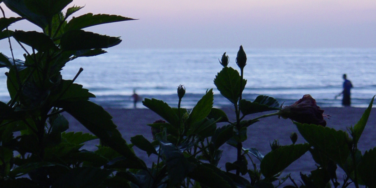 Inside Fair Go Casino Bonuses, Pokies and More