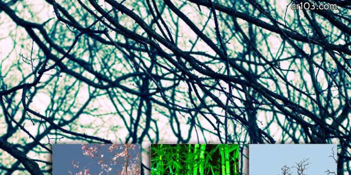 Official Website in Australia 2025