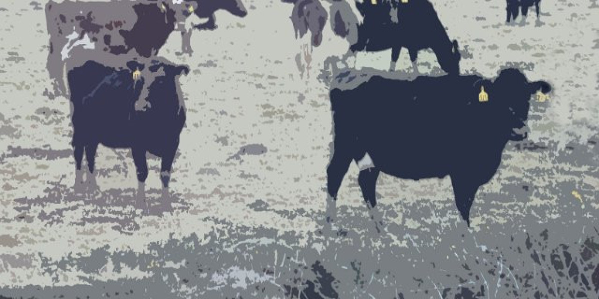 The Star v ASIC in Federal Court: Sydney casino may not survive