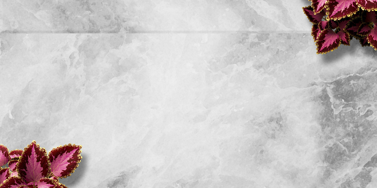 The Four Seasons Plane: A Luxurious Journey By Time And Nature