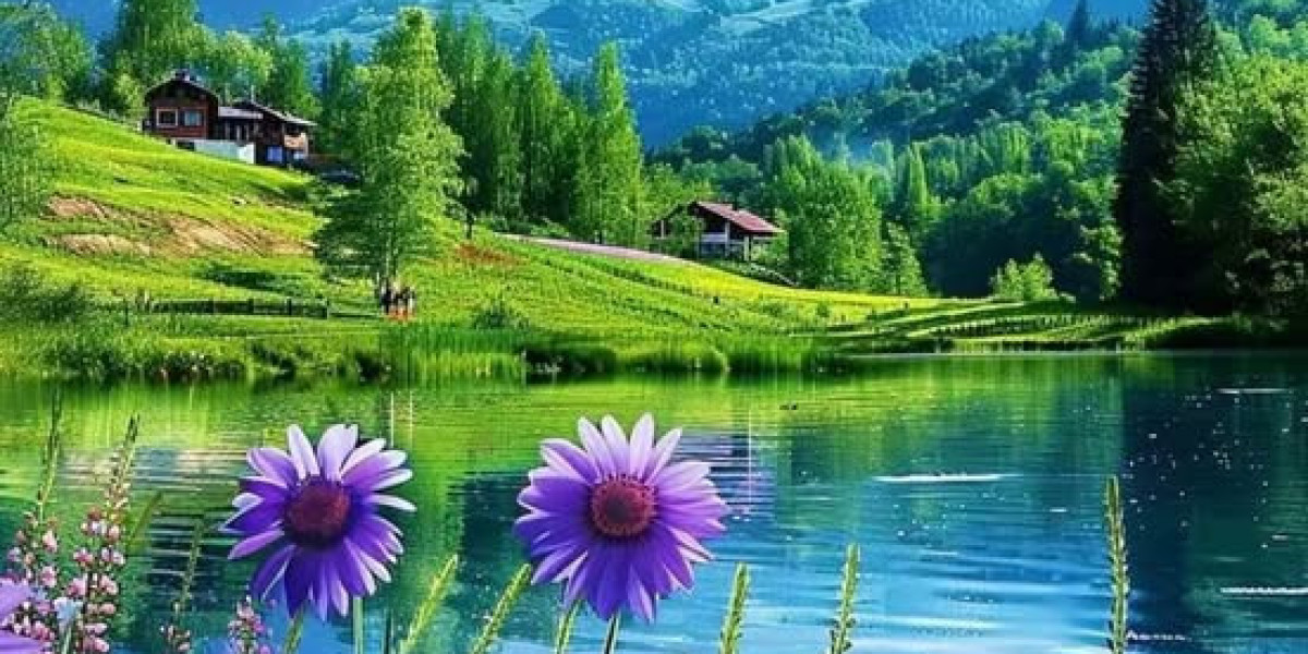 View the Cincinnati Reds handle the Chicago Cubs today!