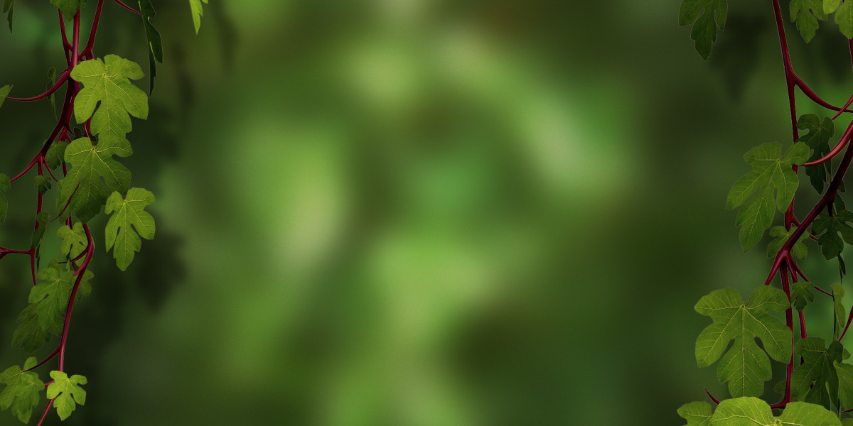 Exploring Private Jet Charters: A Complete Examine on Options Close To You