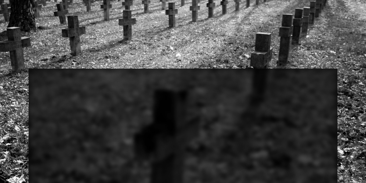 The Best Private Jet Charters: Elevating Your Journey Experience