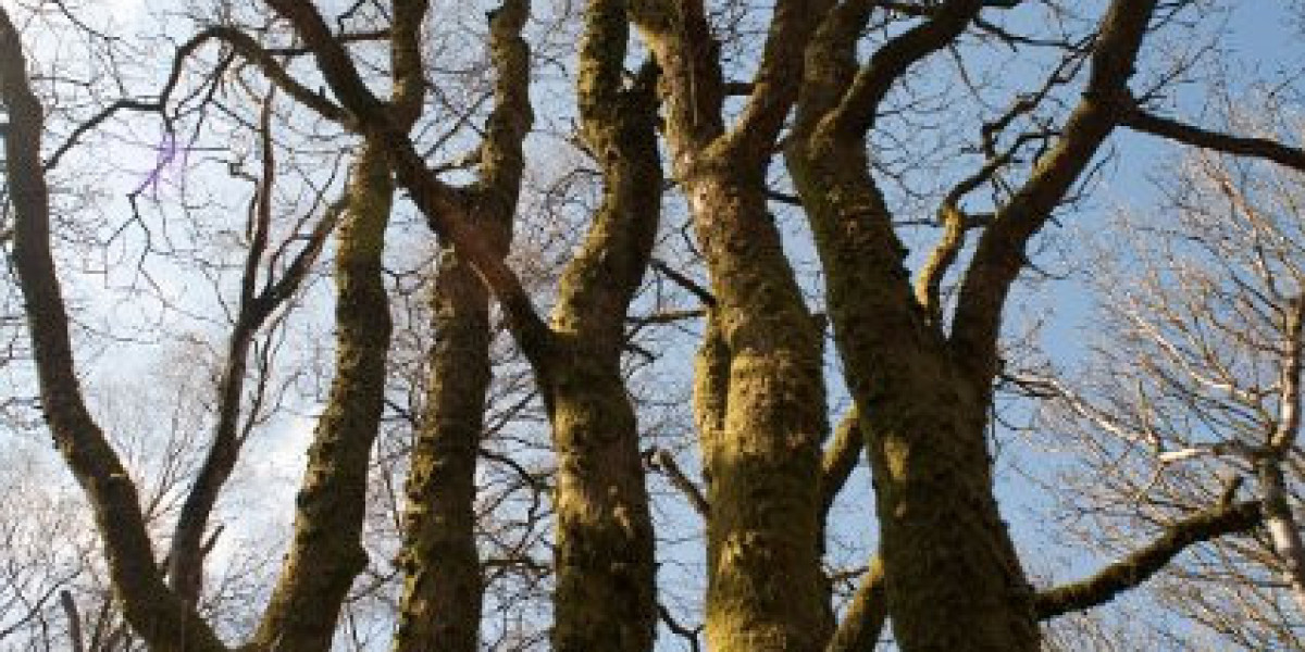 SkyCrown Casino Australia A$8,000 Bonus + 400 Free Spins