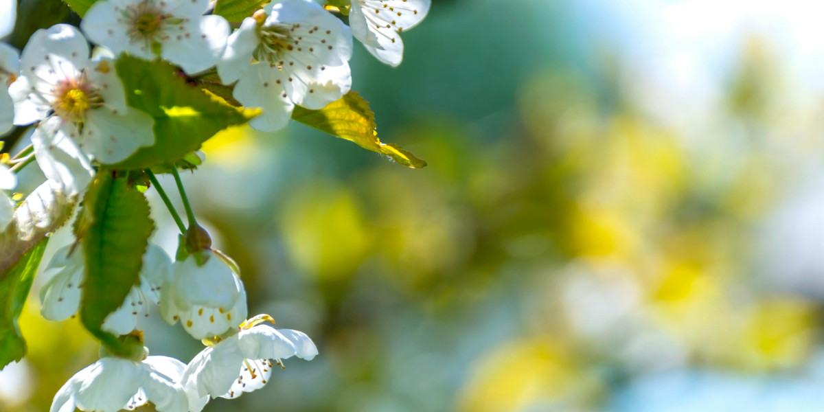 How Arcanist's Etcher supports mobility-focused playstyles