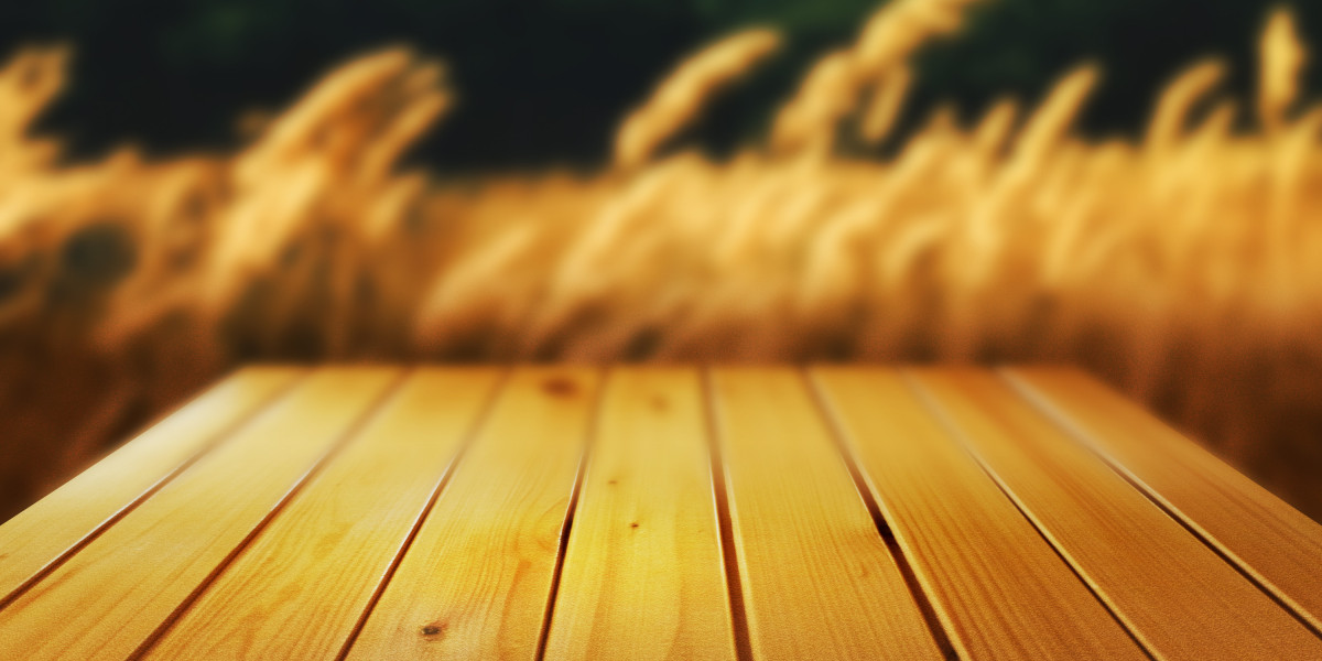 The Dynamics and Implications of Sugar Daddy Chat Websites