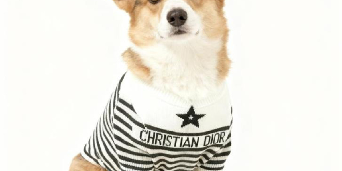 Why Dogs Are Man's Best Friends