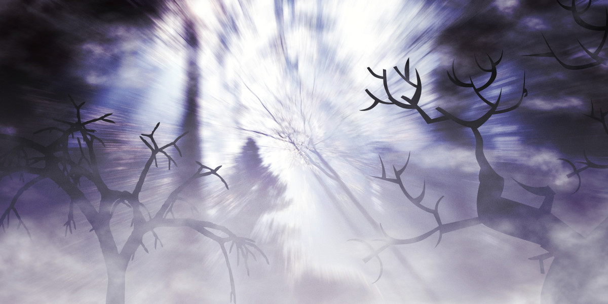 Revolutionizing Accessibility: Subsequent Day Delivery of Modafinil in the USA