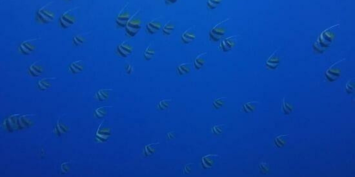 What is "Joint Tenancy with Right of Survivorship"?