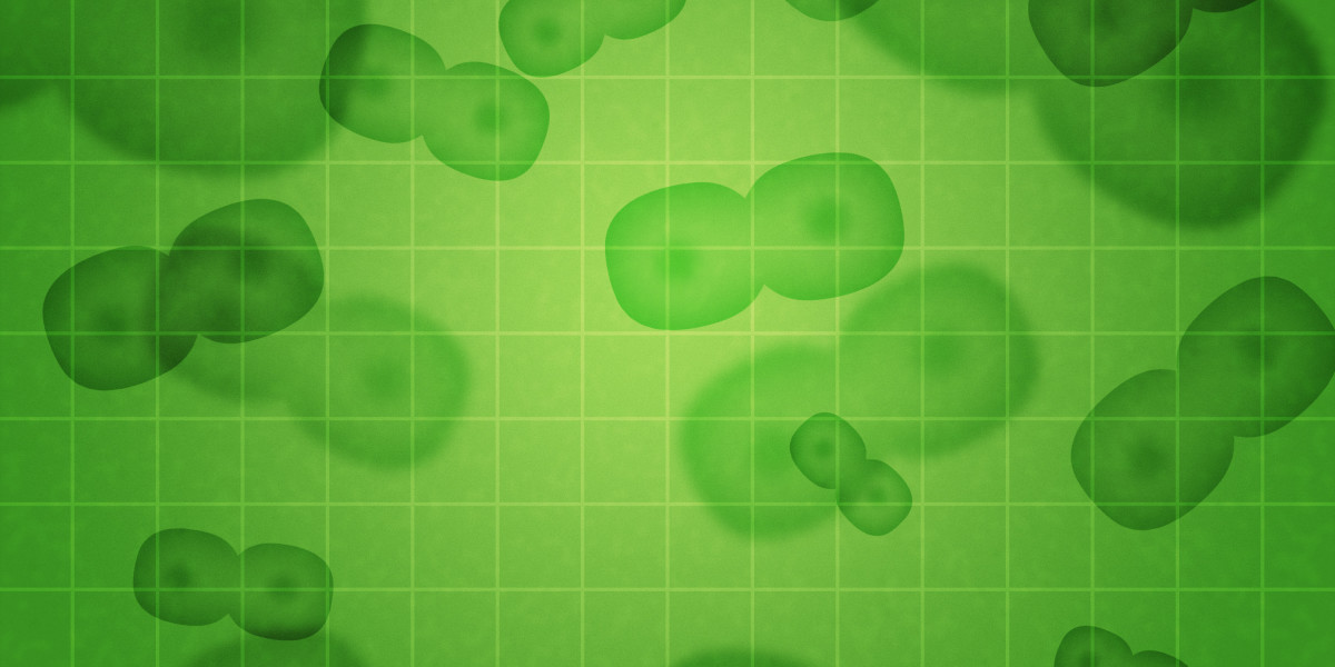 Exploring the web Marketplace For Modafinil: A Comprehensive Guide