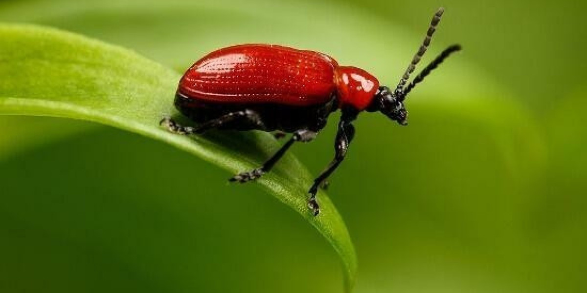 What is An Adjustable-rate Mortgage (ARM)?