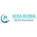 aceaglobal panchkula